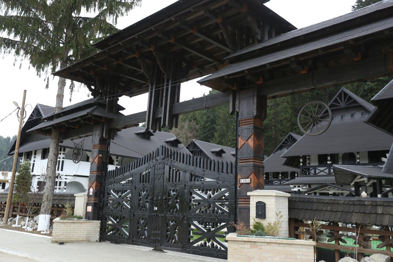 Complex Lions Bucovina 3* Voronet