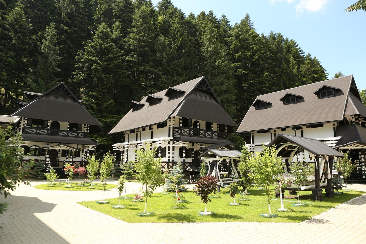 Complex Lions Bucovina 3*